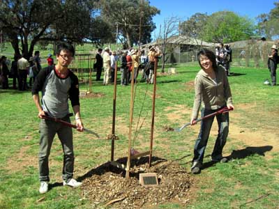 cowra08 08