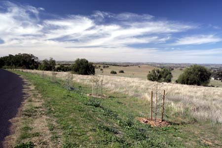 cowra4