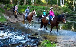 centralcoast horseriding
